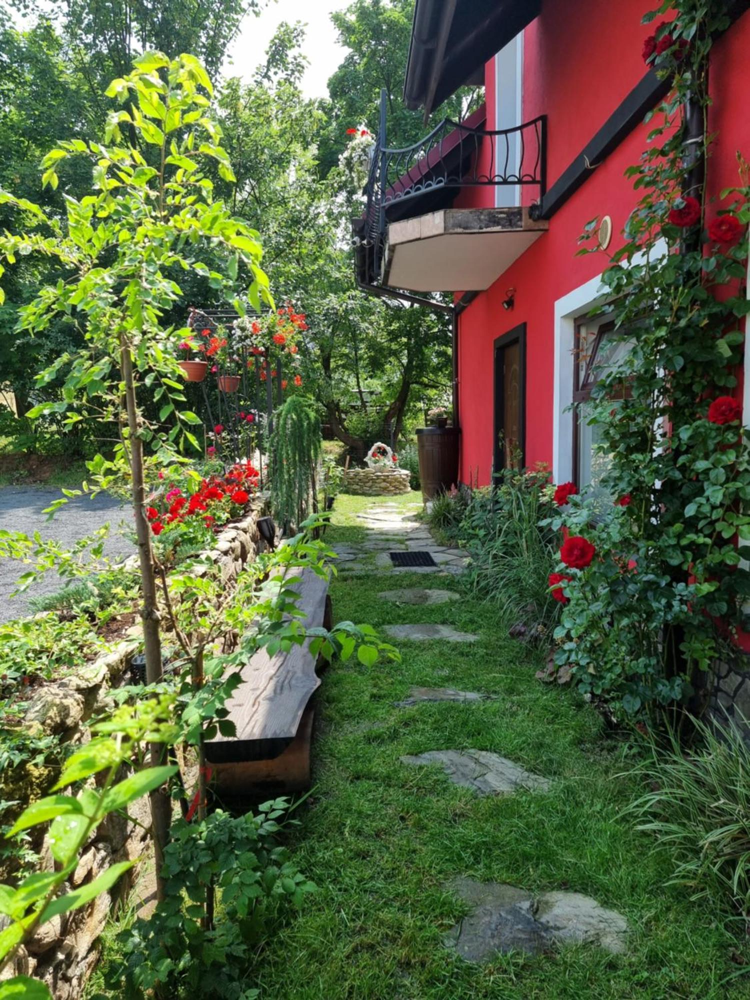 Apartamenty u Bodzia Stronie Slaskie Bagian luar foto
